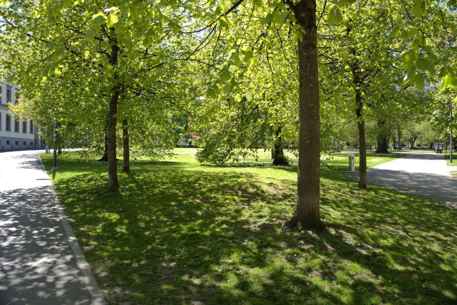 Kantipark Schwammstadt